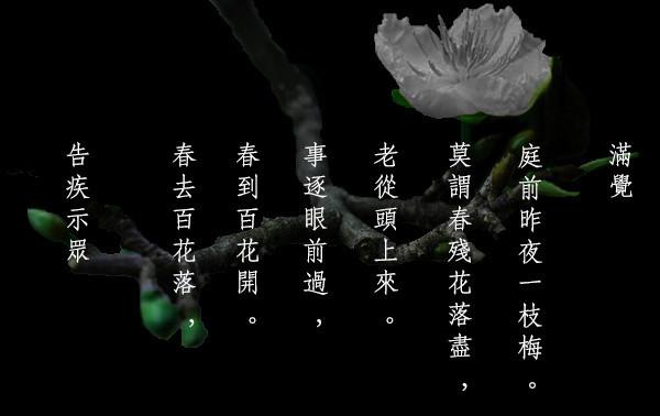 Bài thơ Cáo tật thị chúng của thiền sư Mãn Giác