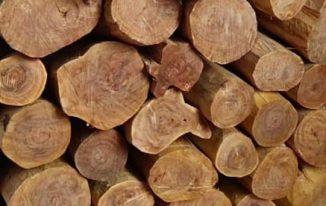 Gỗ đàn hương có tác dụng gì