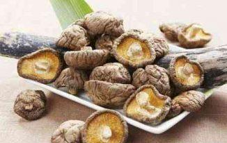 Nấm đông cô khô