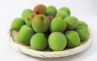 Quả mơ xanh (quả mai)