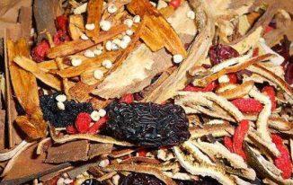 Táo đen trong thang thuốc Bắc Ziziphus jujuba hắc táo táo Bắc chữa bệnh gì