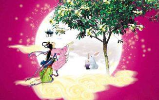 Cây quế cung trăng chị Hằng chú cuội cây đa