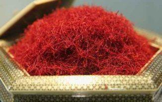 Nhụy hoa nghệ tây (Crocus sativus) có đắt không