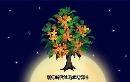 Thiềm cung chiết quế