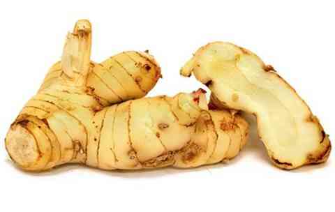 Củ riềng (Alpinia officinarum)