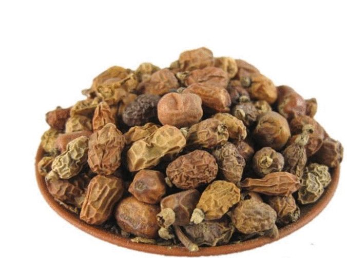 Hồng đậu khấu quả riềng nếp