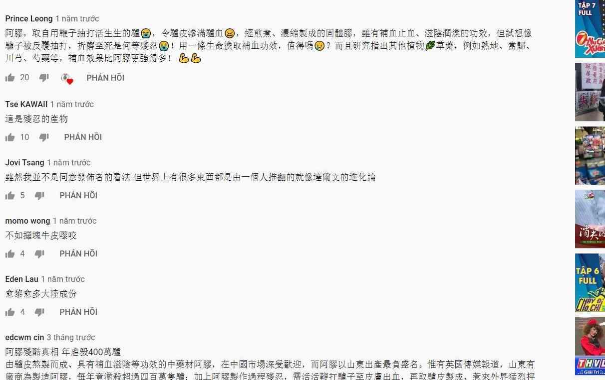 Những bình luận phản đối A giao (keo da lừa)