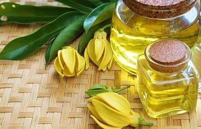 Tinh dầu hoa ngọc lan tây (Ylang Y lang) 