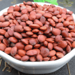 Toan táo nhân (酸枣仁)