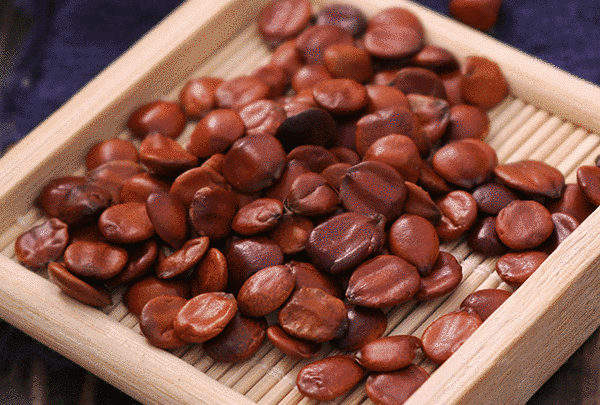 Hình ảnh Toan táo nhân là thuốc gì