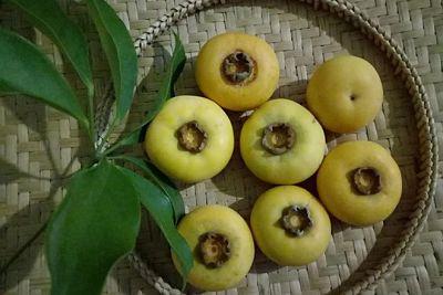 Quả thị có tác dụng gì