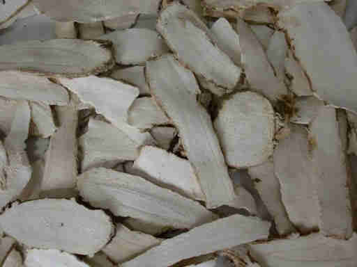 Vị thuốc Bạch chỉ