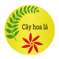 Shop Phụng Nhi logo
