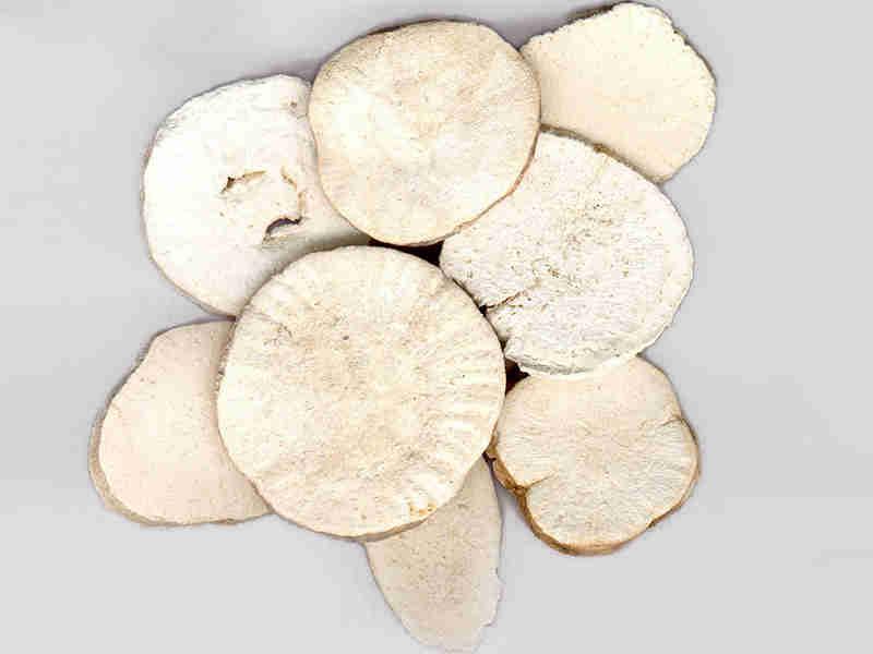 Thiên hoa phấn (qua lâu căn)