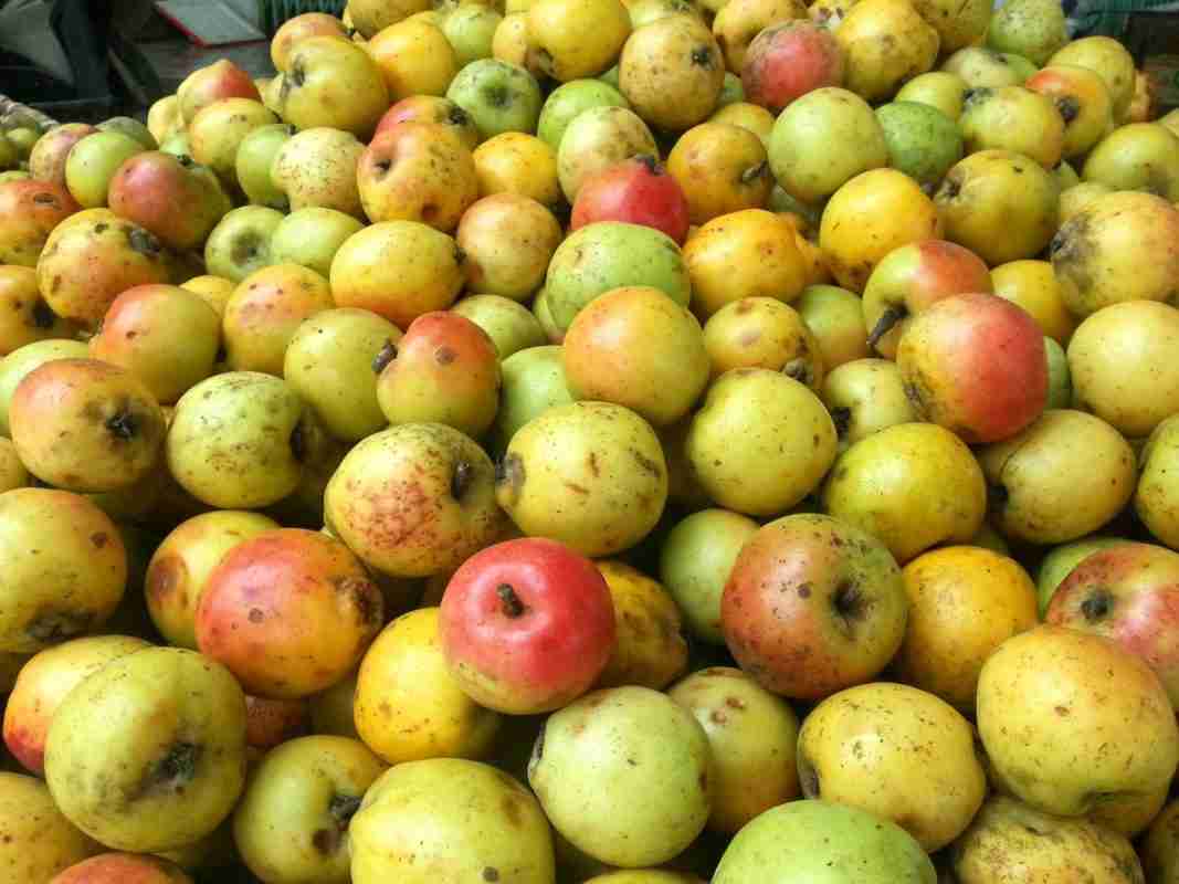 Bệnh máu nhiễm mỡ nên ăn gì