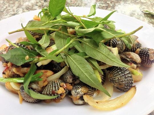 Sò huyết xào rau răm ăn có tốt không