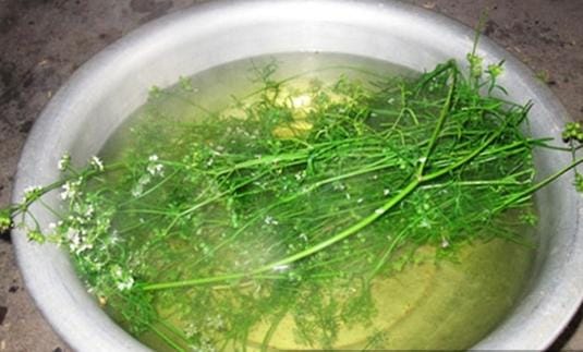 Nấu nước mùi già