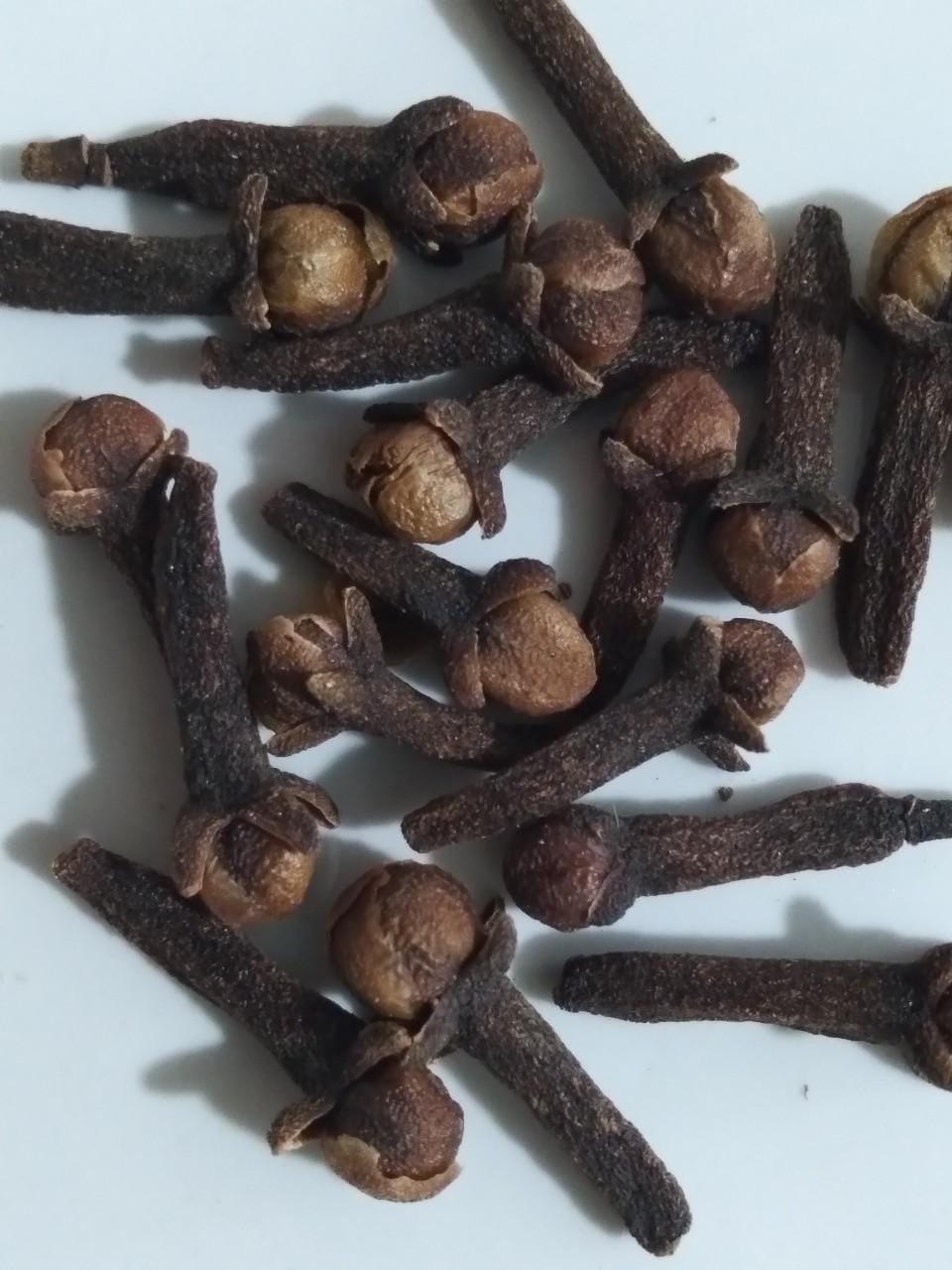 Nụ đinh hương có tác dụng gì