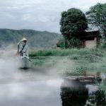 Buông bỏ, buông xả, giác ngộ