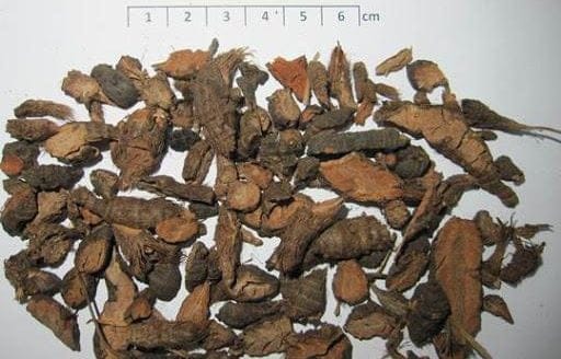 Vị thuốc hương phụ