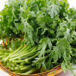 Rau tần ô (cải cúc)