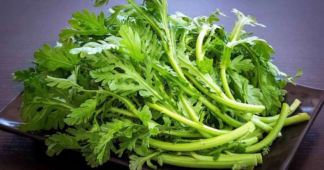 Rau tần ô có tác dụng gì