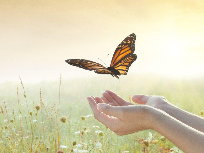 Buông bỏ phiền muộn