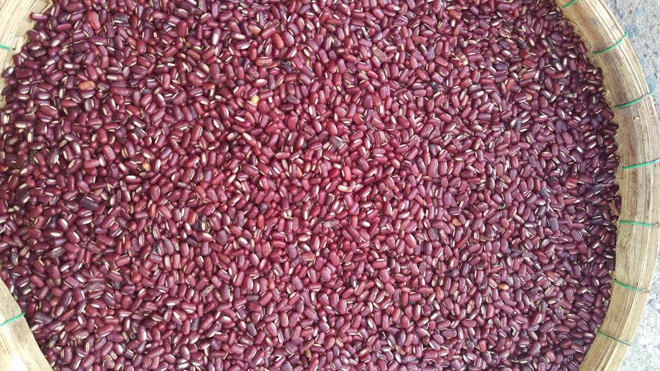 Đậu gạo (đậu nho nhe)