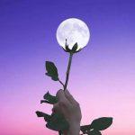 Kết nối với thiên nhiên