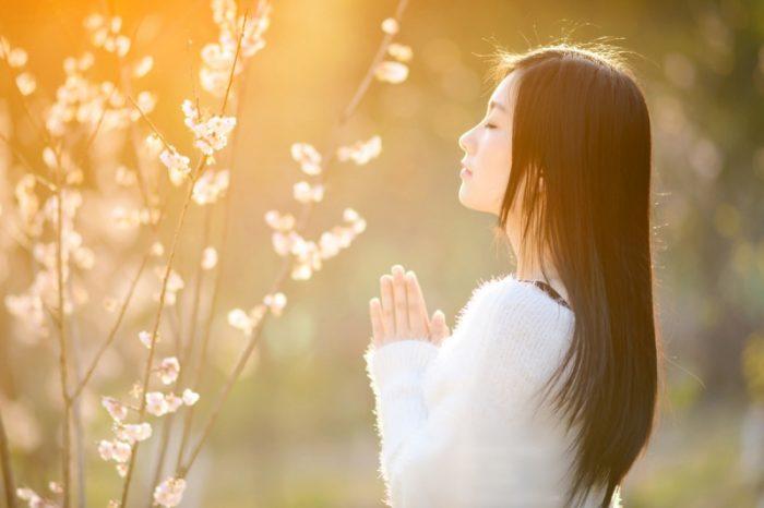 Niềm vui hạnh phúc bình an