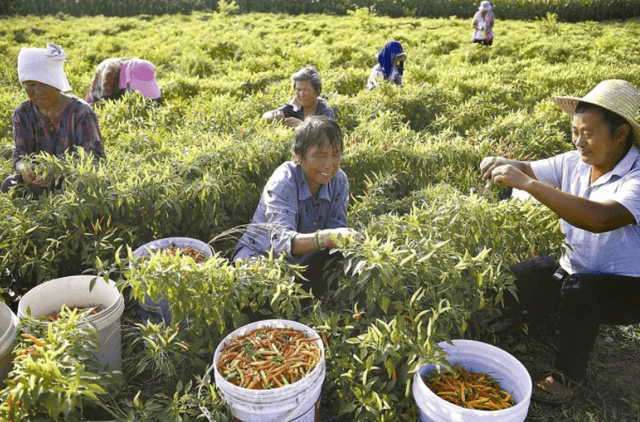 Nông dân Trung Quốc