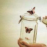 Buông bỏ đúng lúc