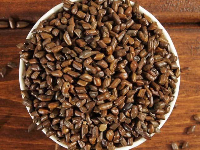 Hạt muồng (thảo quyết minh) có tác dụng gì