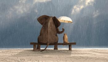 Trích: Nhất Thiền tiểu hòa thượng (7): Trải qua kiếp nạn mới biết nhân gian đáng giá