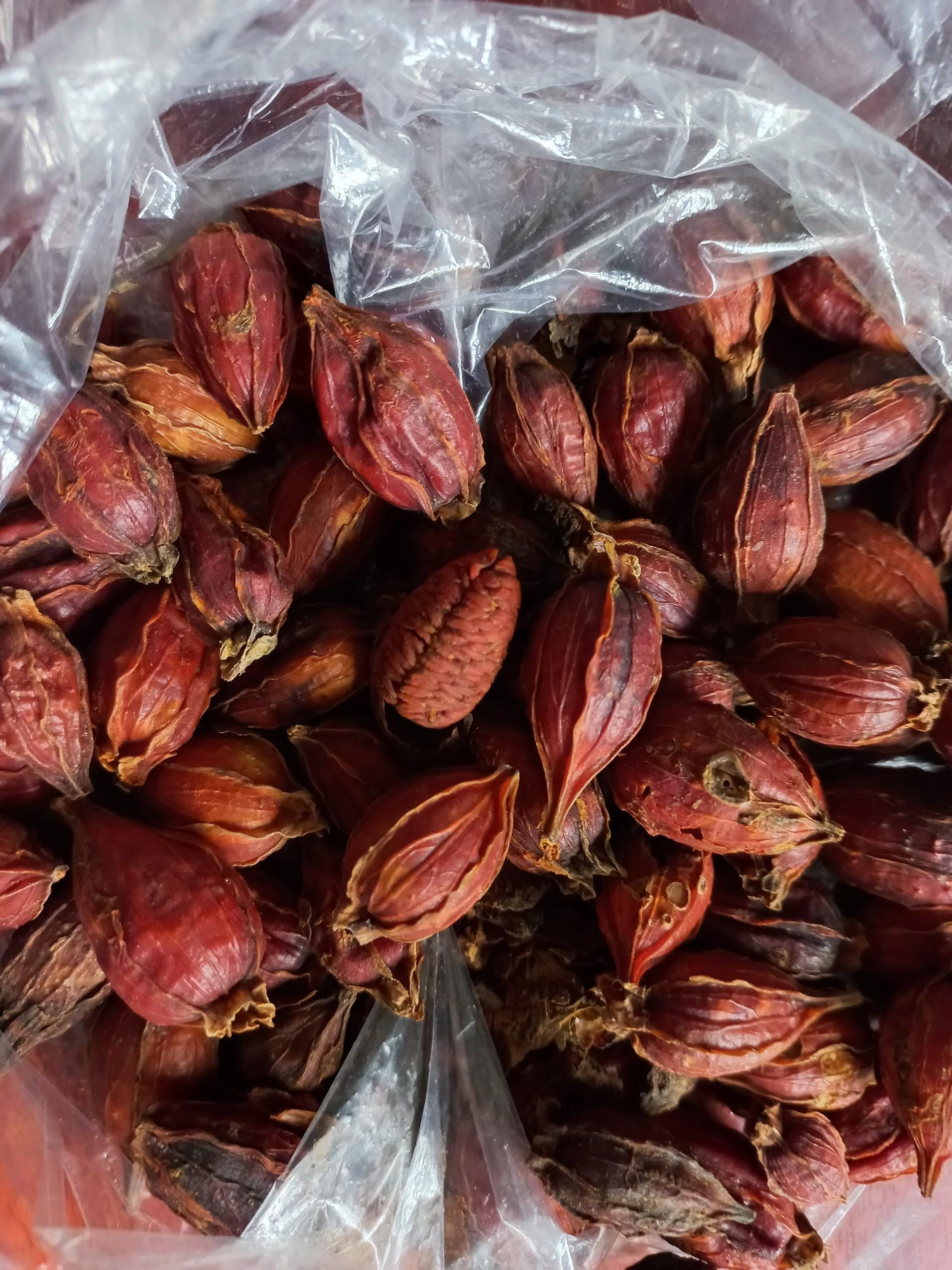 Quả dành dành có tác dụng gì