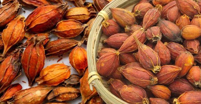 Quả dành dành phơi khô (chi tử)
