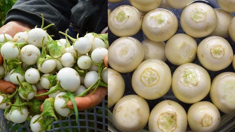 Cà pháo có tác dụng gì