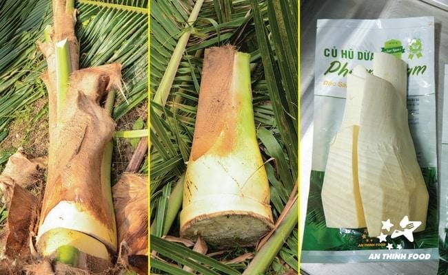 Củ hủ dừa có tác dụng gì?