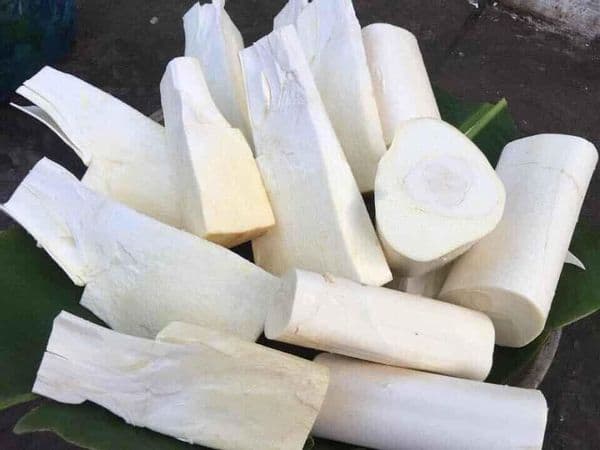 Củ hủ dừa có tác dụng gì