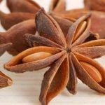 Đại hồi hương