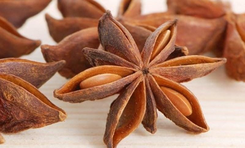 Đại hồi hương