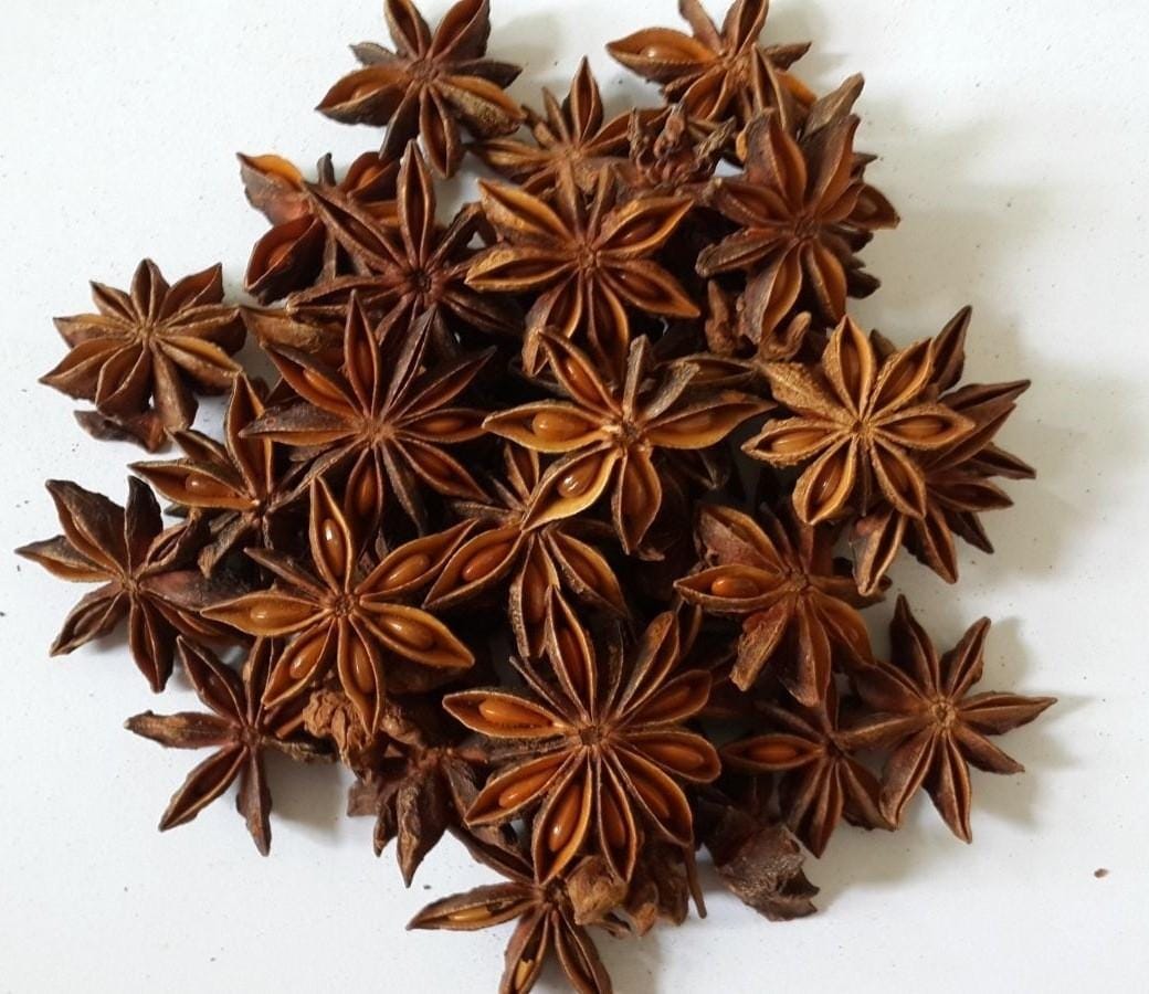 Đại hồi hương