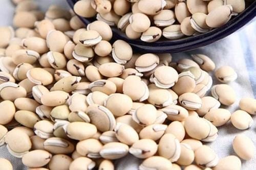 Hạt đậu ván trắng