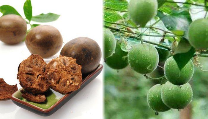 La hán quả có tác dụng gì