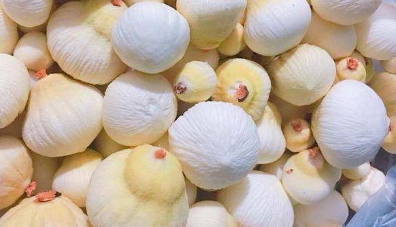 Ăn mộng dừa có tác dụng gì?