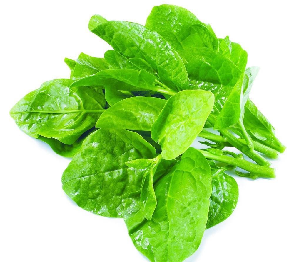 Rau mồng tơi có tác dụng gì