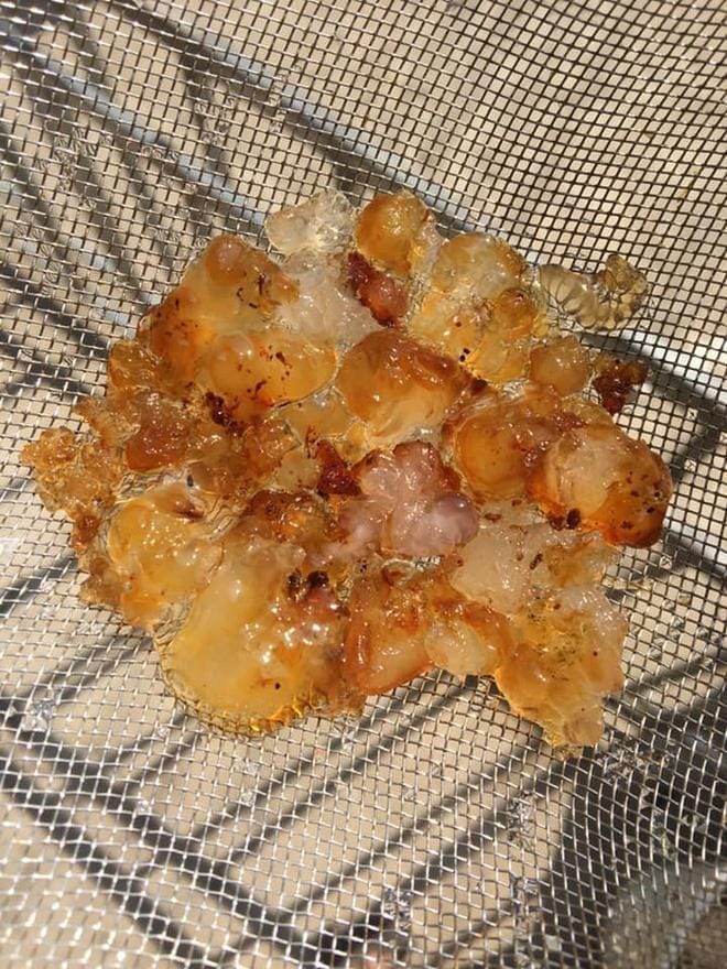 Mủ gòn tự nhiên
