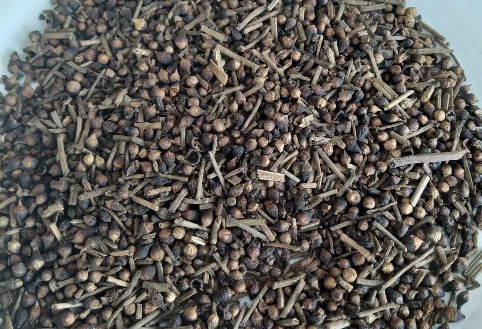 Nụ vối phơi khô