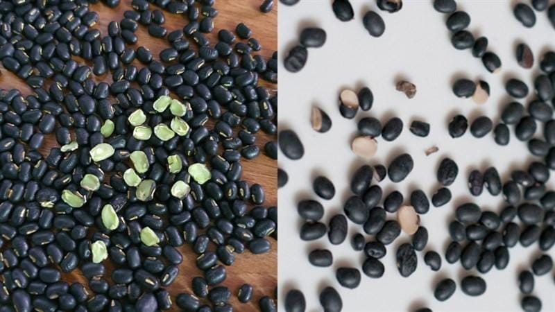 Đậu đen lòng xanh và đậu đen lòng trắng