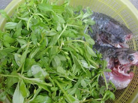Canh rau đắng cá rô đồng